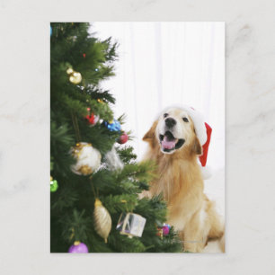 Golden retriever que mira el árbol de navidad