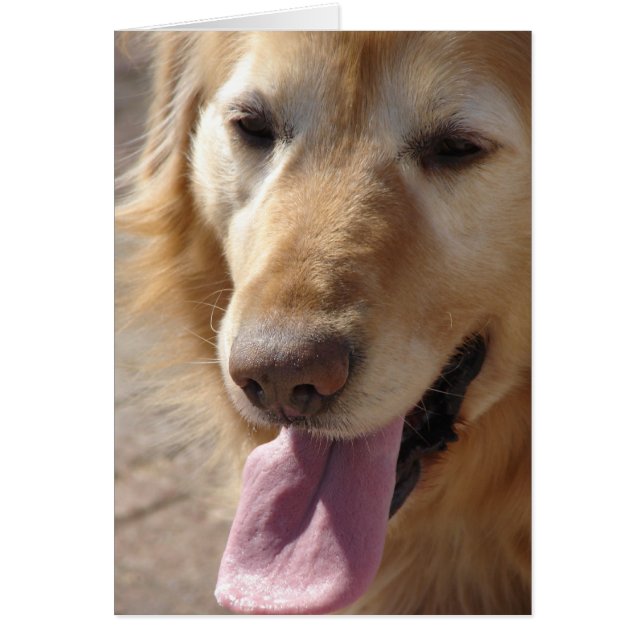 Golden Senior (Frente)