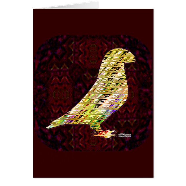 Golden Show Racer Pigeon (Frente)