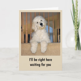 Goldendoodle cualquier tarjeta de ocasión