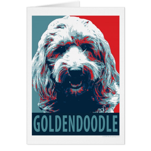GOLDENDOODLE de Hope Dogs (Frente)