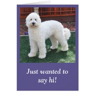 Goldendoodle toda la tarjeta de la ocasión