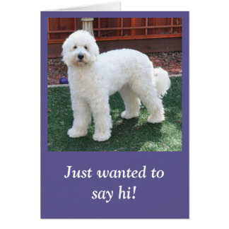 Goldendoodle toda la tarjeta de la ocasión