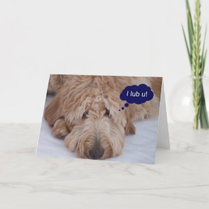 Goldendoodle "yo lub u!" Tarjeta