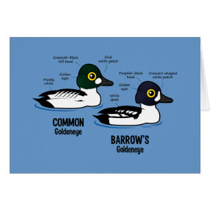 Goldeneye contra Goldeneye