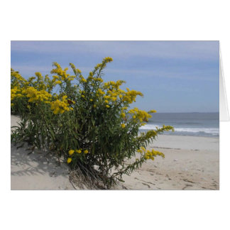 Goldenrod por el mar