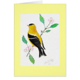 goldfinch del americam