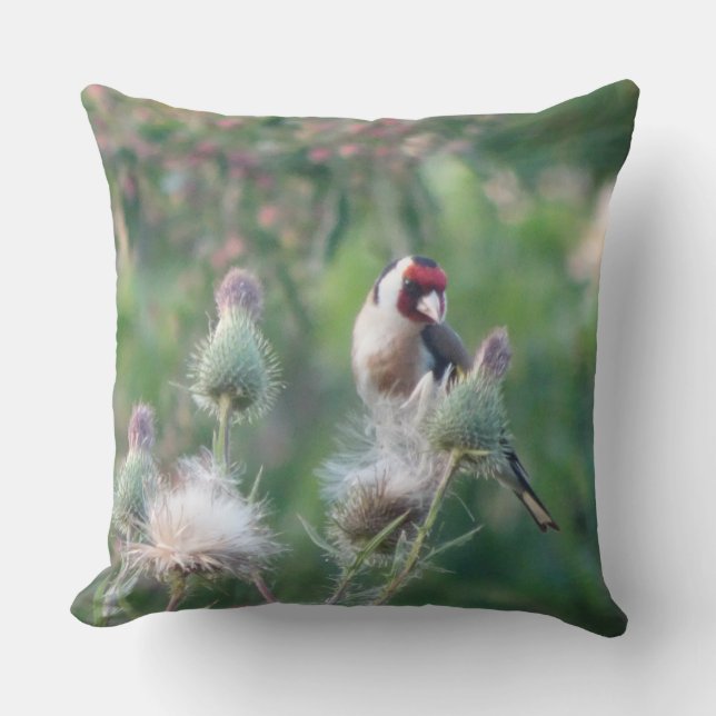 Goldfinch en el Cojín decorativo Fluffy Thistle (Anverso)