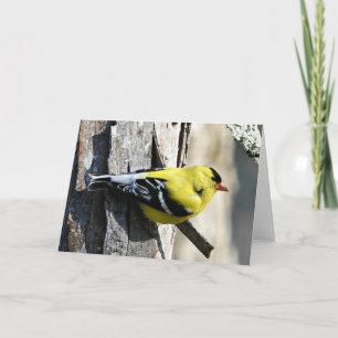 Goldfinch en la tarjeta de felicitación de