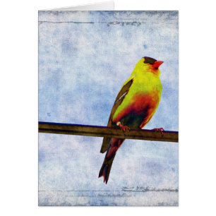 Goldfinch en Power Line