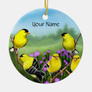 Goldfinches adaptables en el ornamento de los
