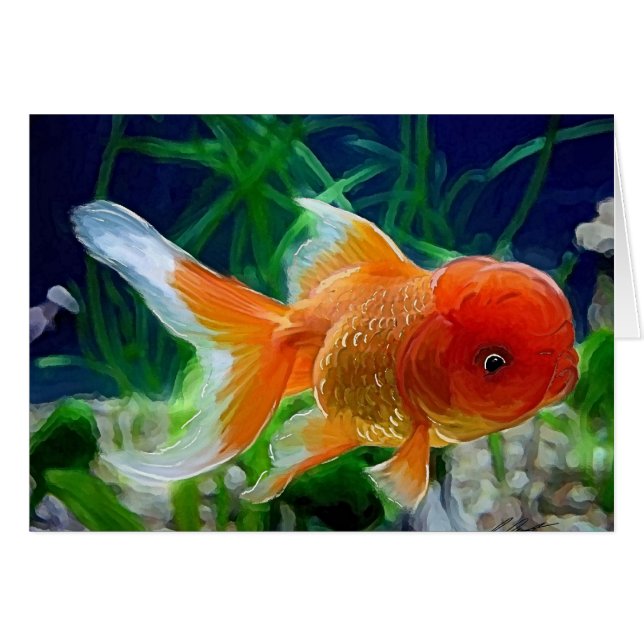 Goldfish de Oranda (Anverso (Horizontal))