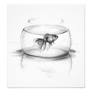Goldfish en una impresión de la foto del arte del