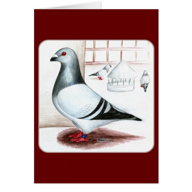 Goma jeriana gigante 1973 (Frente)