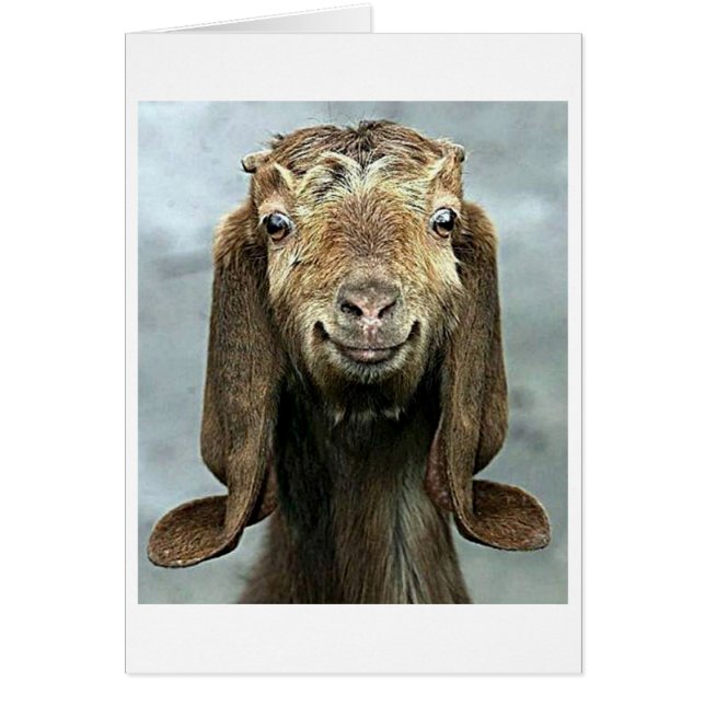 GOOFY GOAT DICE QUE "50" SE VE "BUENO CONTIGO!" (Frente)