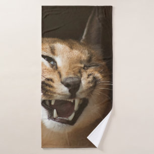 Goofy Lynx