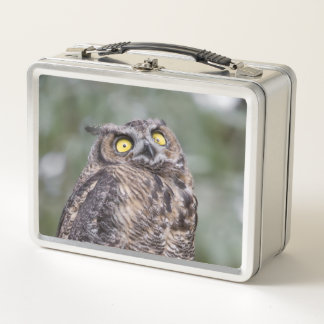 Goofy Owl Metal Lunchbox