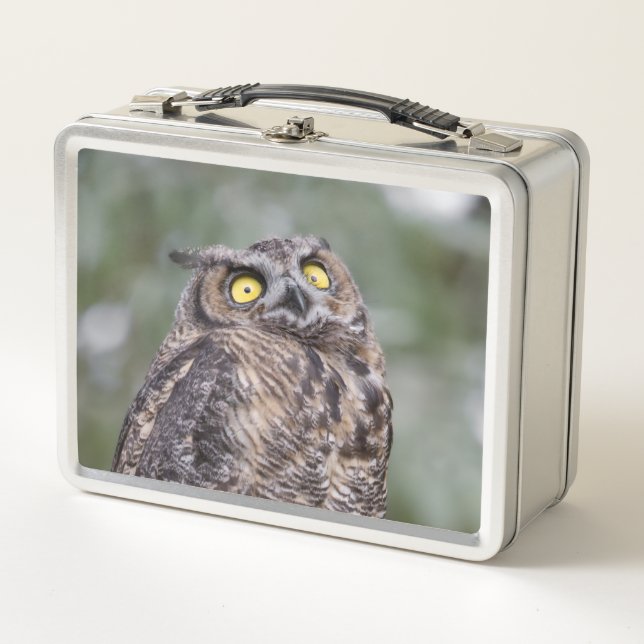 Goofy Owl Metal Lunchbox (Anverso)