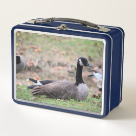 Goose