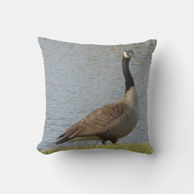 Goose By Pond Cojín decorativo (Anverso)