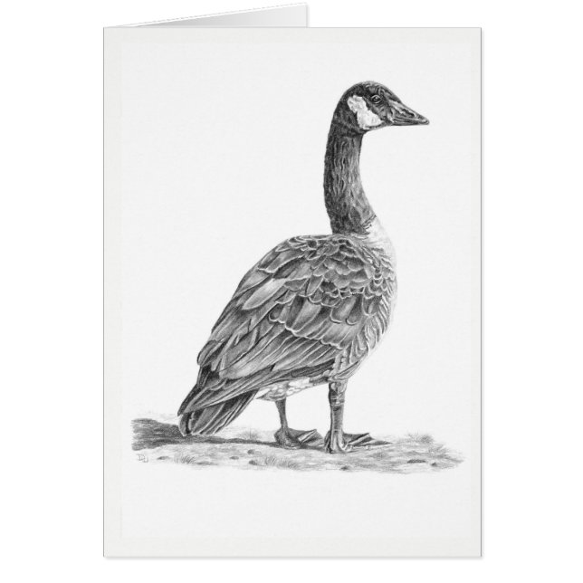 Goose canadiense (Frente)