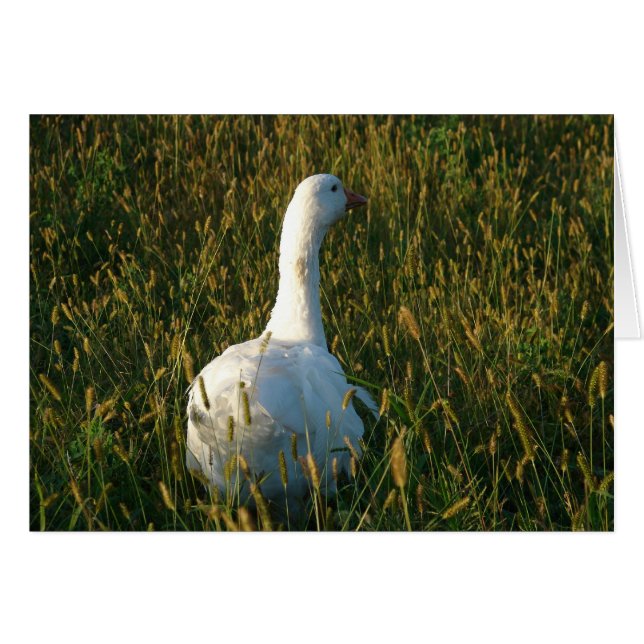 Goose in the Hay Meadow (Anverso (Horizontal))