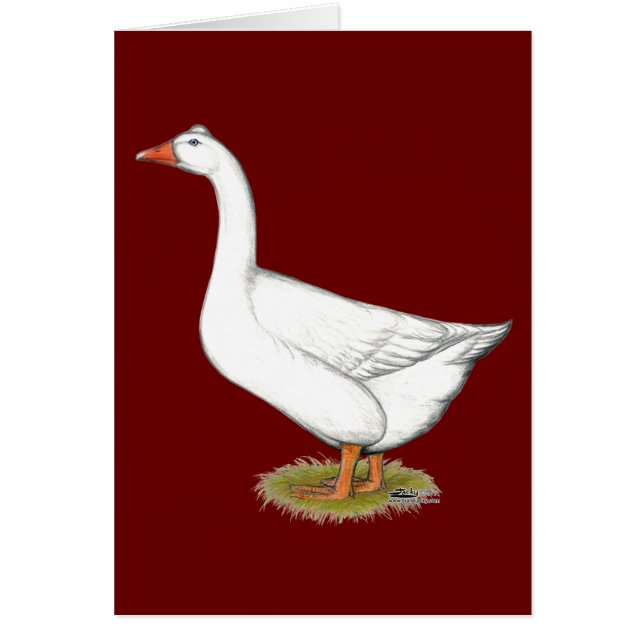 Goose Roman Tufted (Frente)
