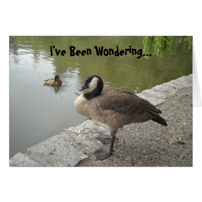 Goose salvaje (Anverso (Horizontal))