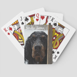 Gordon Setter en las cartas de invierno