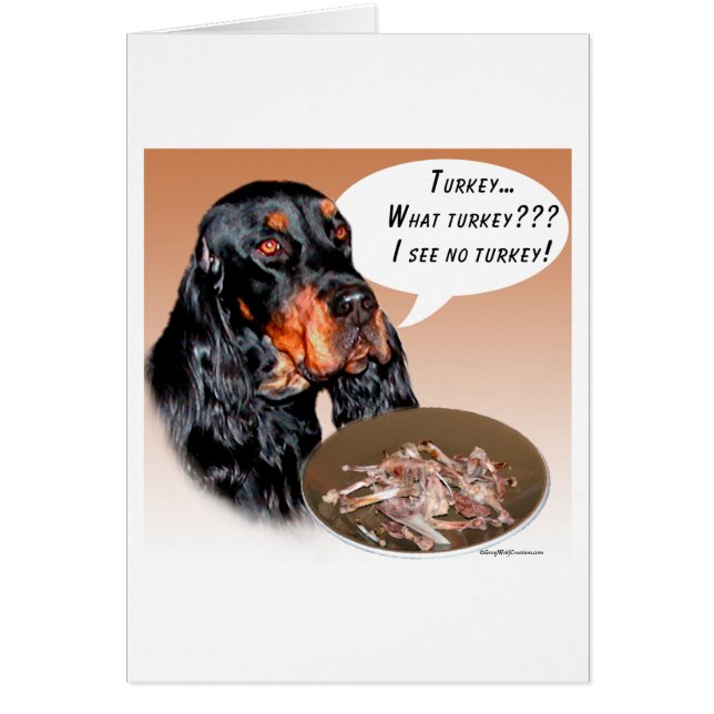 Gordon Setter Turkey (Frente)