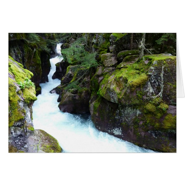 Gorge de Avalanche I en el Parque Nacional Glaciar (Anverso (Horizontal))