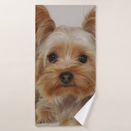 Gorgeo Yorkshire Terrier