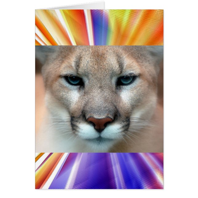 GORGEOUS COUGAR (Frente)