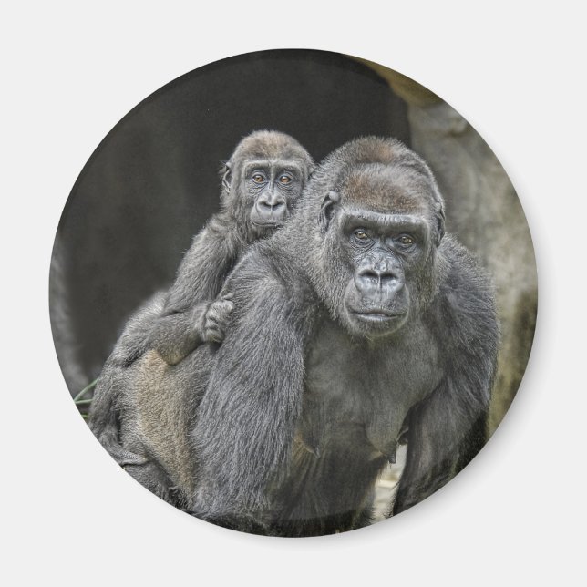 Gorila e imán para bebés (Frente)