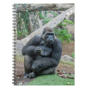 Gorila en el cuaderno del parque zoológico