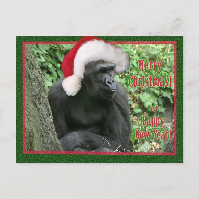 Gorila navidad (Anverso)
