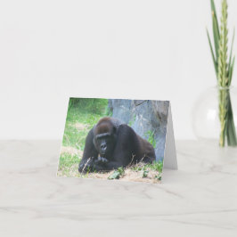 Gorila negro, ¿cómo va tu día?