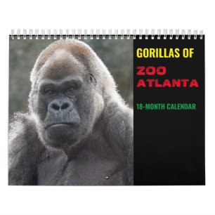 Gorilas del Zoológico de Atlanta 2022 Calendario (