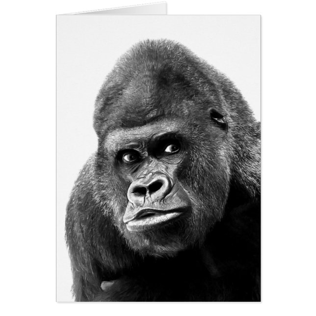 Gorilla blanca negra (Frente)