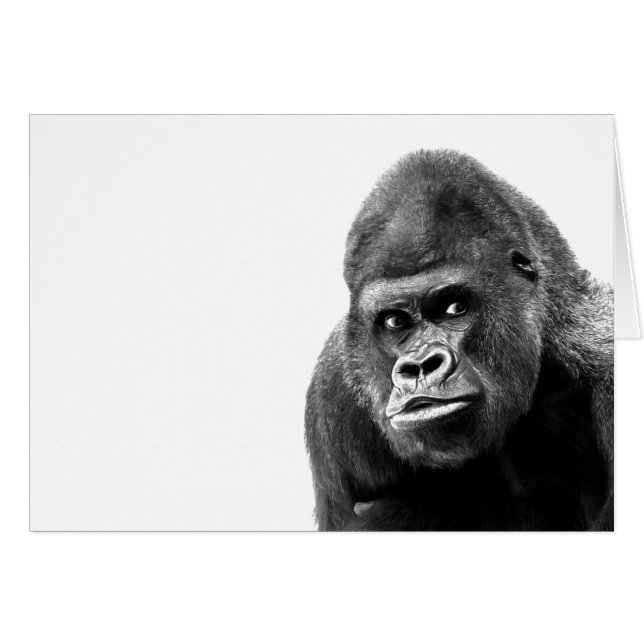 Gorilla blanca negra (Anverso (Horizontal))