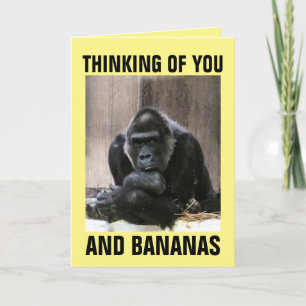 GORILLA PENSANDO EN TÚ GRACIAS A LAS TARJETAS