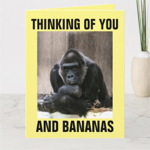 GORILLA PENSANDO EN TÚ GRACIAS A LAS TARJETAS