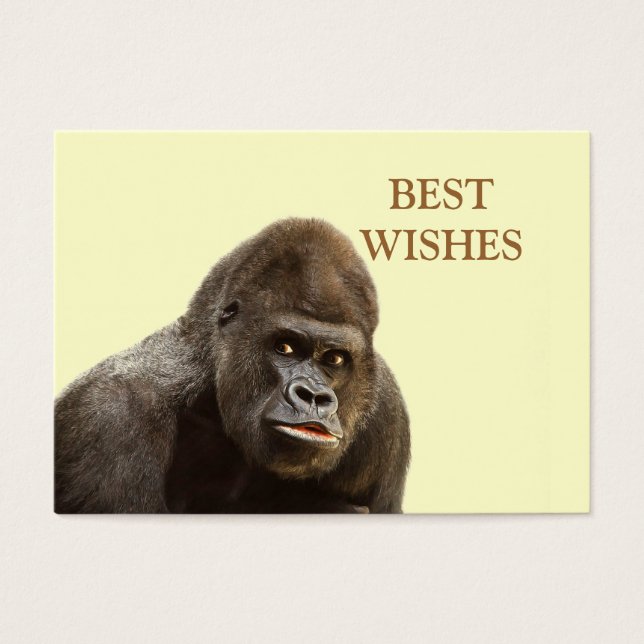 Gorilla Pout (Frente)