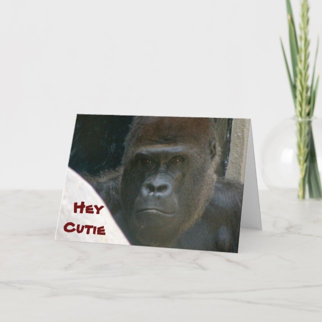GORILLA, tarjeta HEY CUTIE VALENTINE (Anverso)
