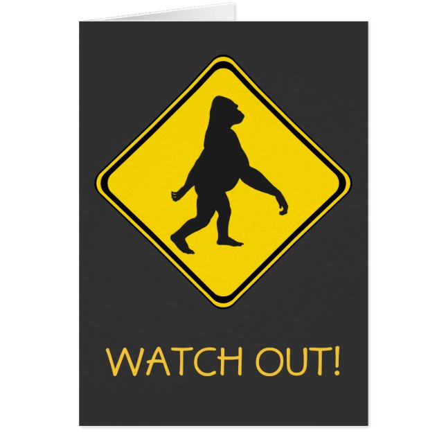 ¡Gorilla Xing! (Frente)