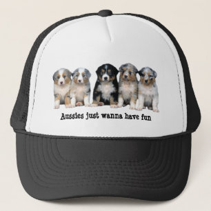 Gorra australiano de los perritos del pastor