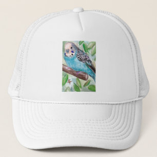 Gorra azul del Parakeet