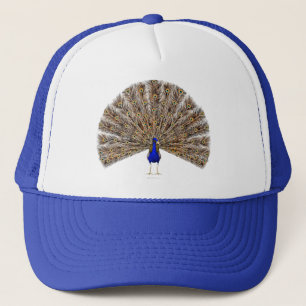 Gorra azul pavo real