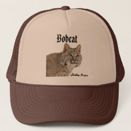 Gorra Bobcat