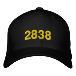 GORRA BORDADA 2838